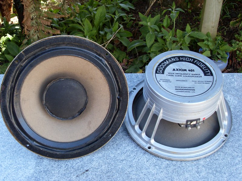 Goodmans 12 inch sales speaker