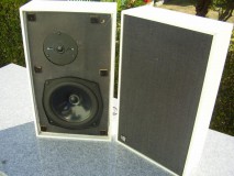 KEF Cantors White